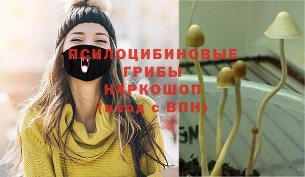 прущая мука Армянск