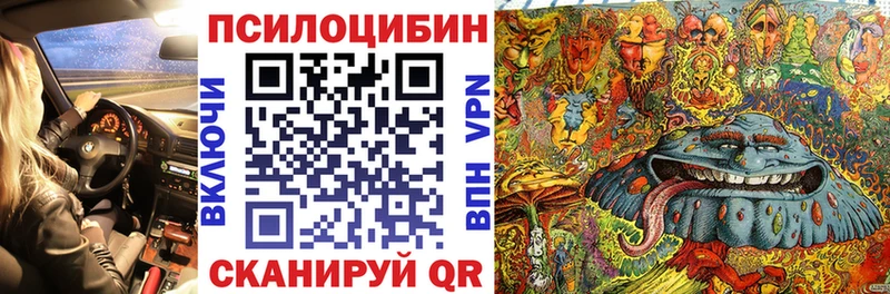 это телеграм  Верхняя Салда  Галлюциногенные грибы Psilocybine cubensis 